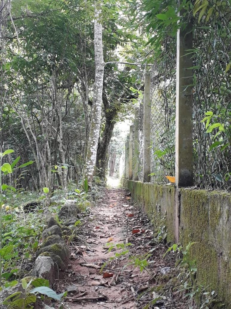 Vale Das Maritacas - Estilo Rural 皮拉卡亚 外观 照片