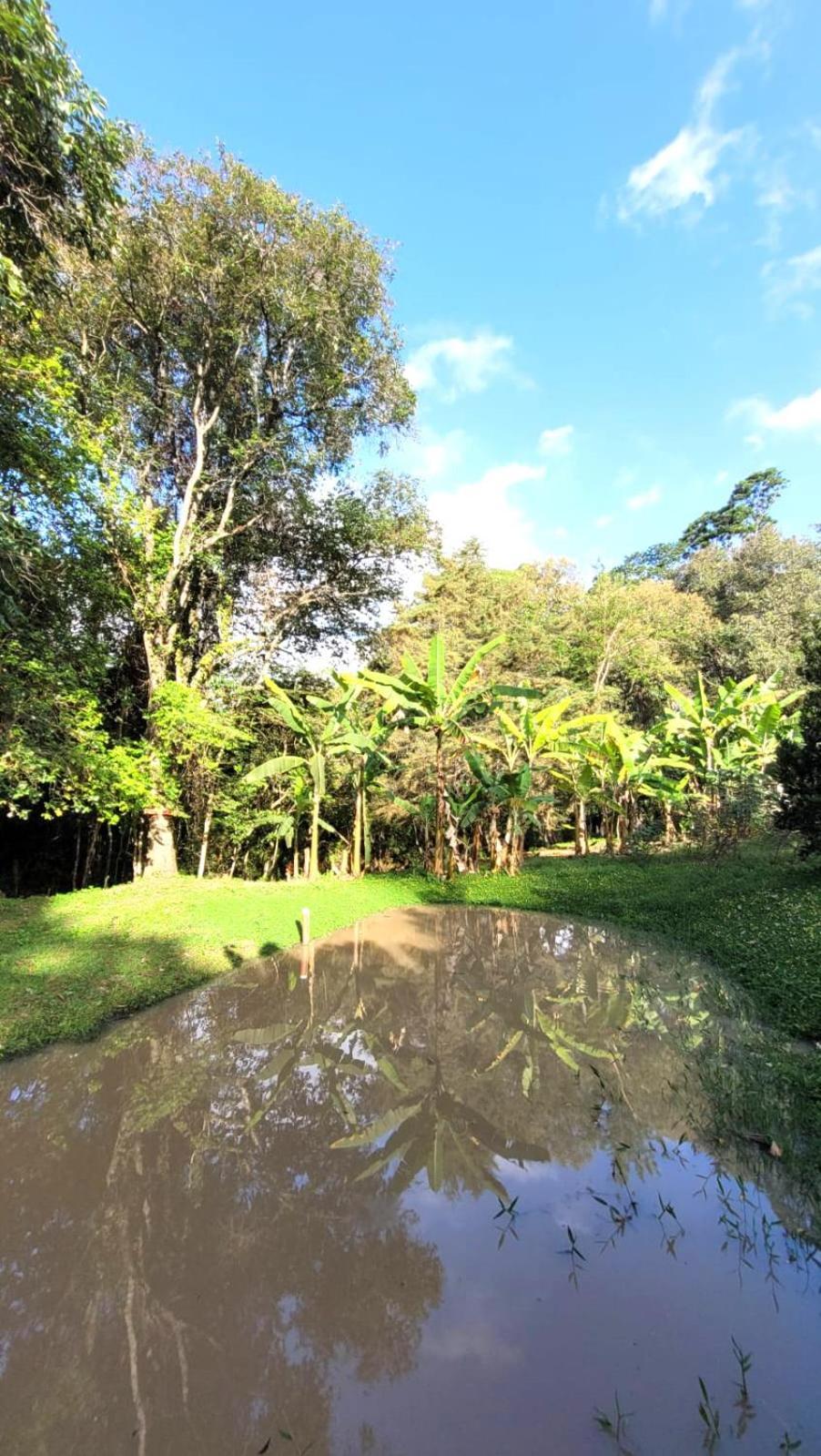 Vale Das Maritacas - Estilo Rural 皮拉卡亚 外观 照片